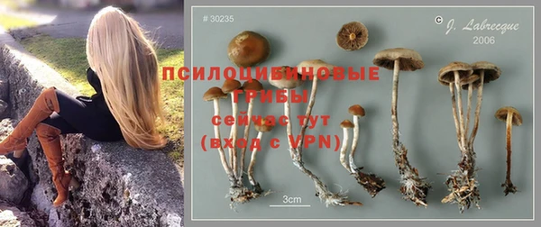 PSILOCYBIN Верея