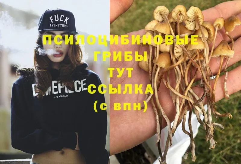 Галлюциногенные грибы GOLDEN TEACHER  Беломорск 